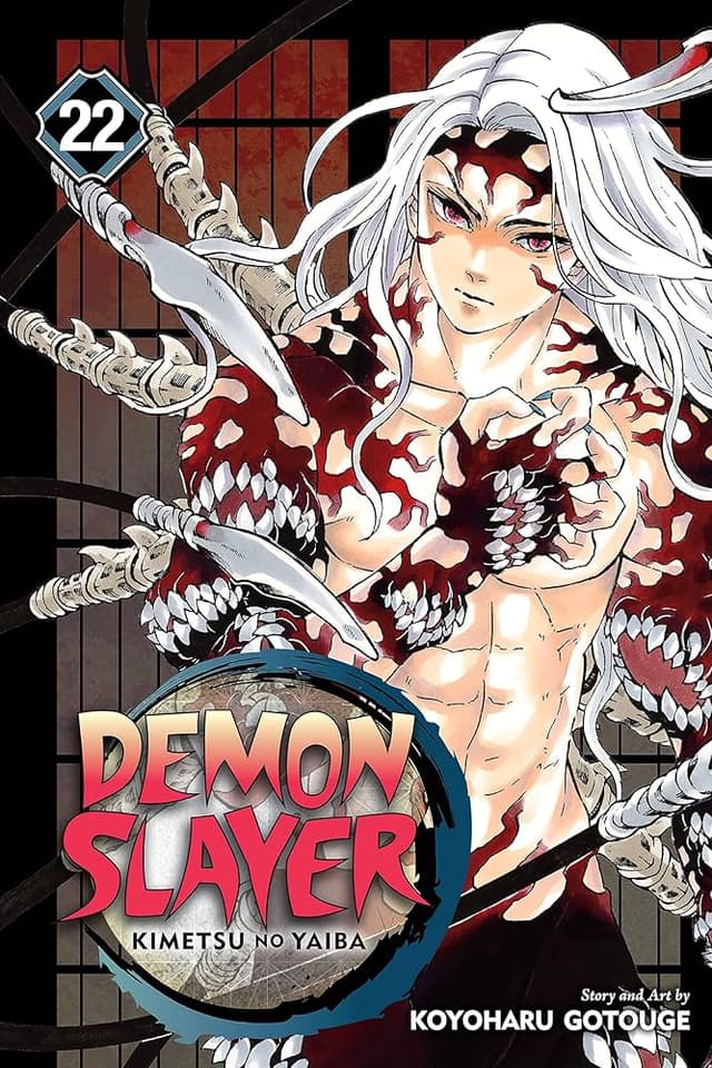 כריכת DEMON SLAYER כרך 22